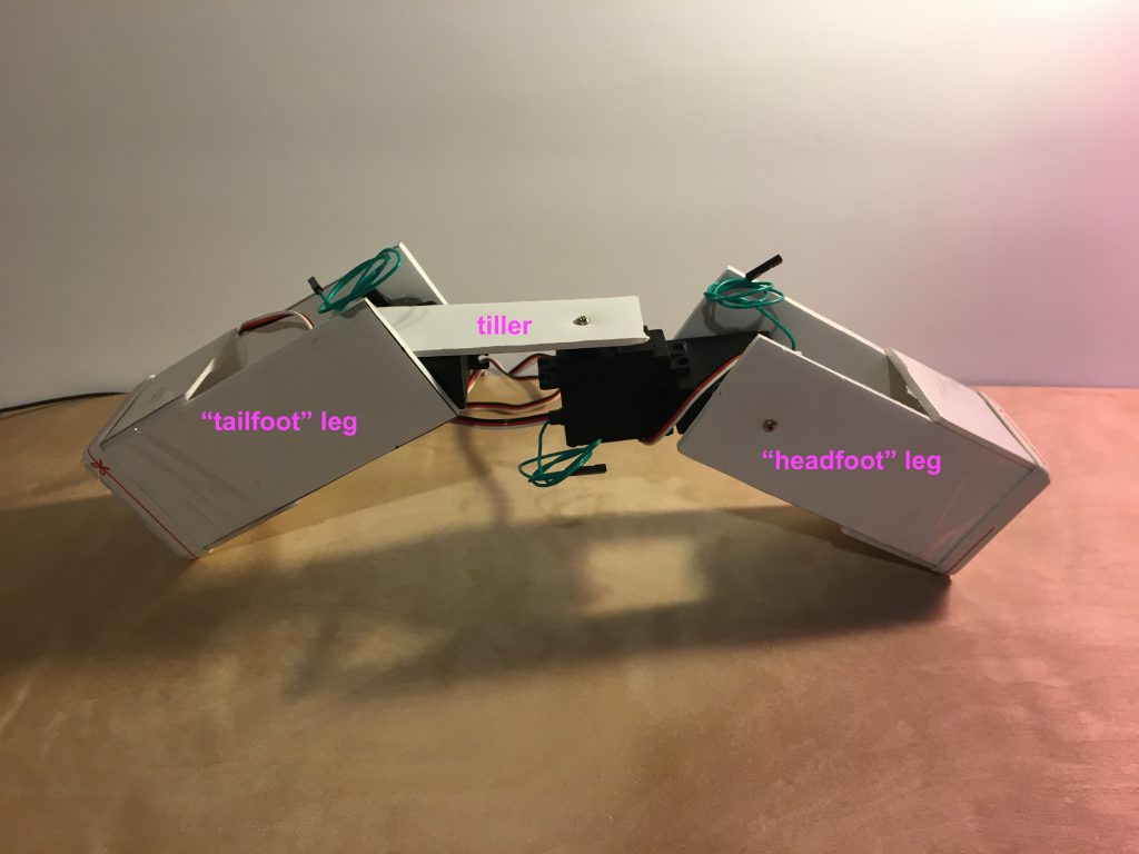 finished Inchworm robot